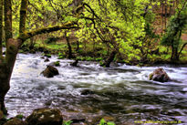 Río en primavera