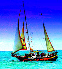 Velero