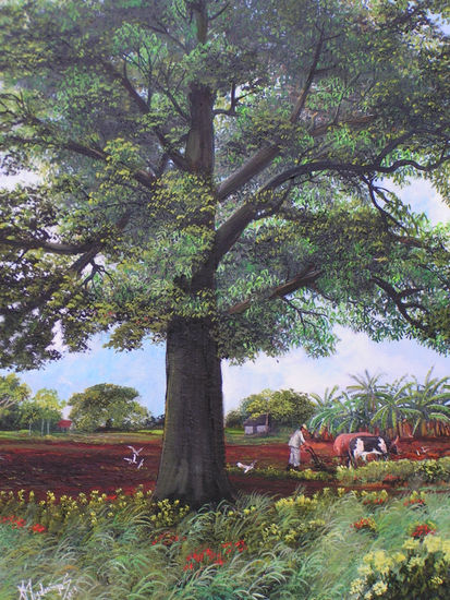 Ceiba Oil Canvas Landscaping