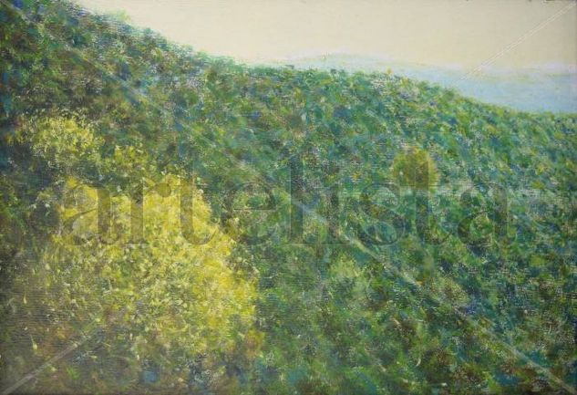 Mimosas en Sierra Morena Oil Canvas Landscaping