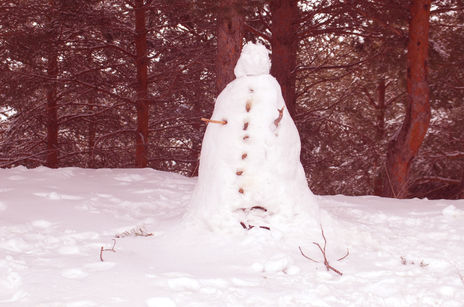 Muñeco de Nieve