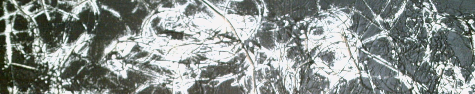 Imagen de portada