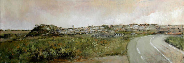 Vista panorámica de Fermoselle