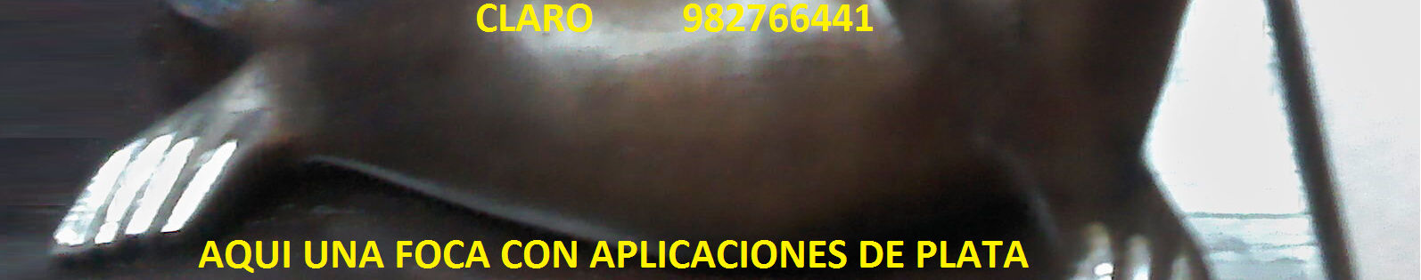 Imagen de portada
