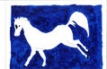 Caballo Blanco