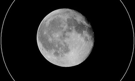 7. NOCTURNAS