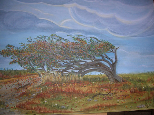 Arbol bandera