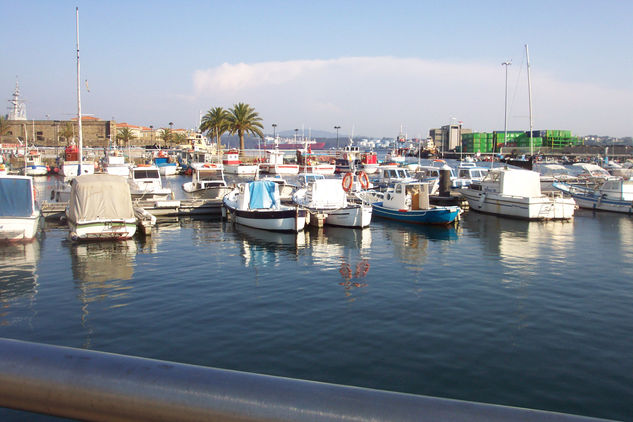 MUELLE 