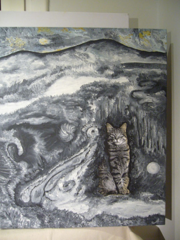 el gato y su montaña