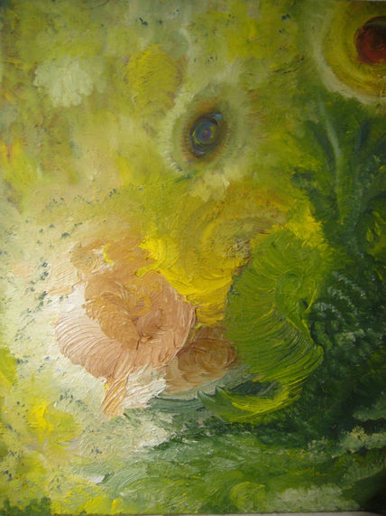 El ojo