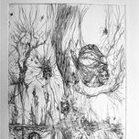 2006-2007 thumbnail 2