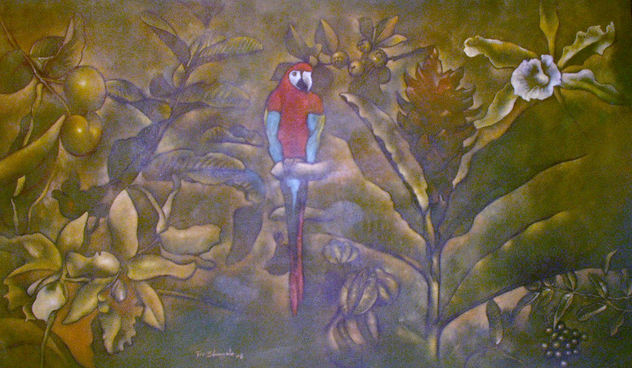 flora e fauna do brasil