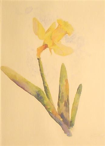 Narciso
