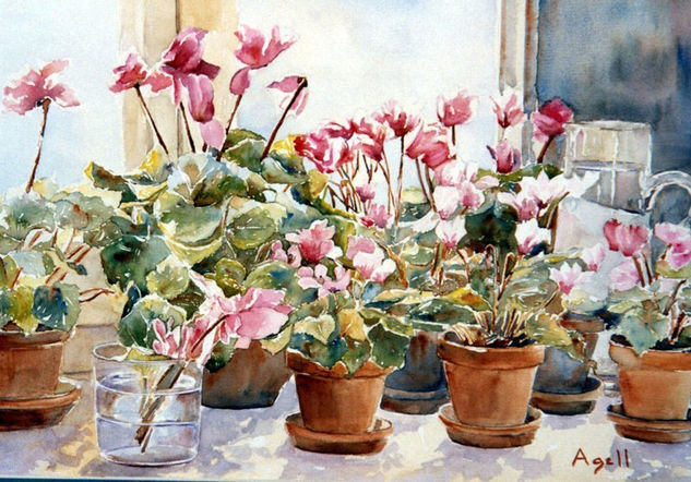 CICLAMEN Watercolour Paper Still Life Paintings