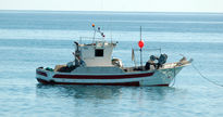 Barco Pesquero
