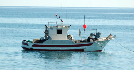 Barco Pesquero