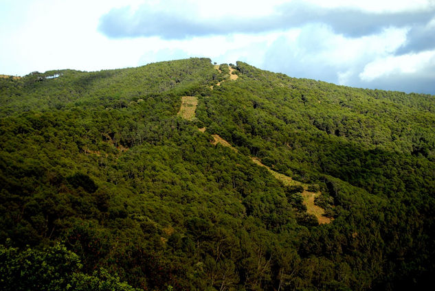 Montes de Malaga 