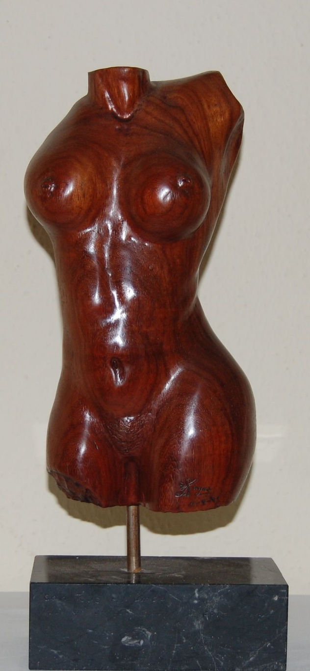 torso