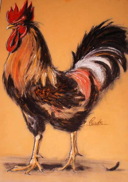 gayo naranja