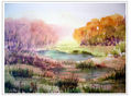 amanece en el bosque