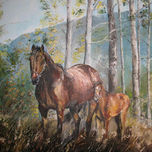 Animales thumbnail 1