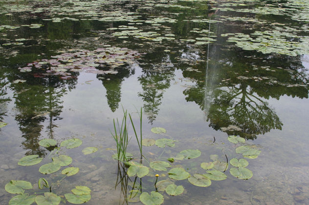 reflejos