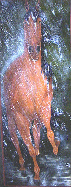 AMBLANDO EN LA LLUVIA