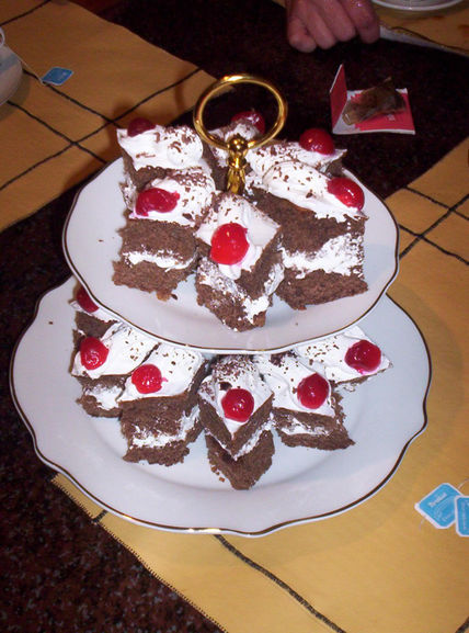 Selva negra