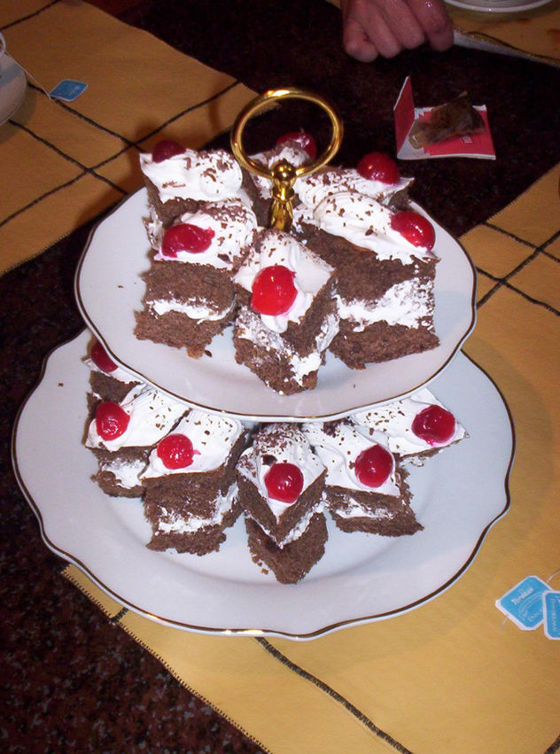 selva negra