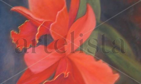 De la serie ORQUIDEAS