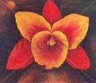 De la serie ORQUIDEAS Oil Canvas Floral Painting