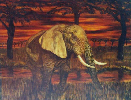 De la serie ANIMALES