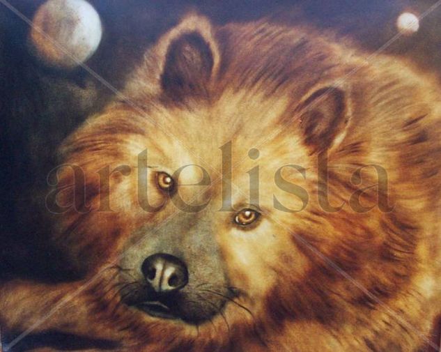 TATU.  De la serie ANIMALES Oil Canvas Animals