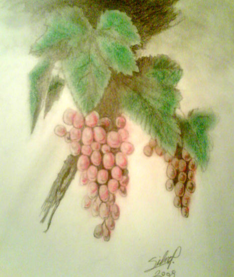 uvas 