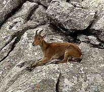 En la cima