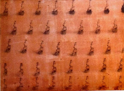 R022.metamorfosis,1981