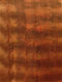 R038.LA HUELLA DEL TIEMPO.1981