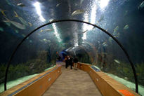 Supermegacuario