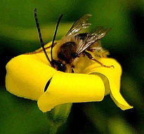 Naturaleza
