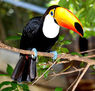 Naturaleza