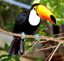Naturaleza