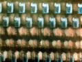 R041.AZUL Y ROSA,1981