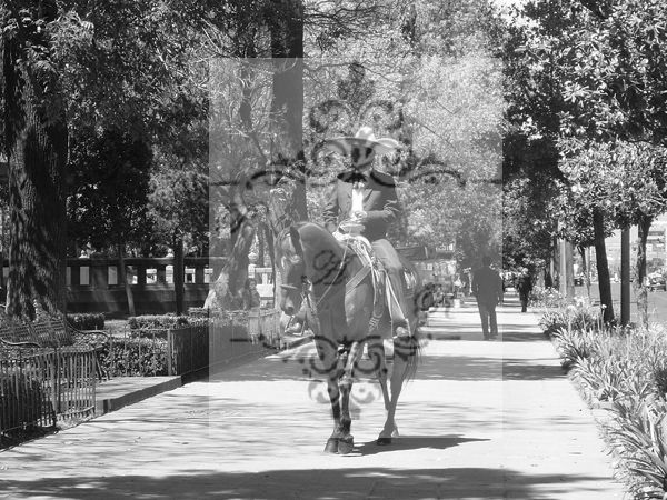 ALAMEDA PROTEGIDA