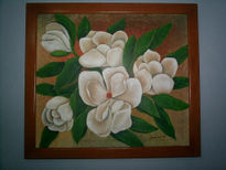 Magnolia