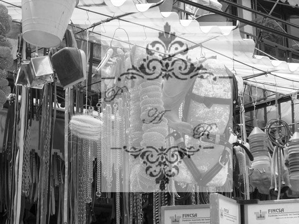 MERCADO DE PORTALES Otras temáticas Blanco y Negro (Digital)