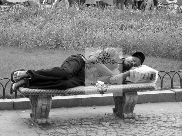 EL DESPERTAR ES UN SUEÑO