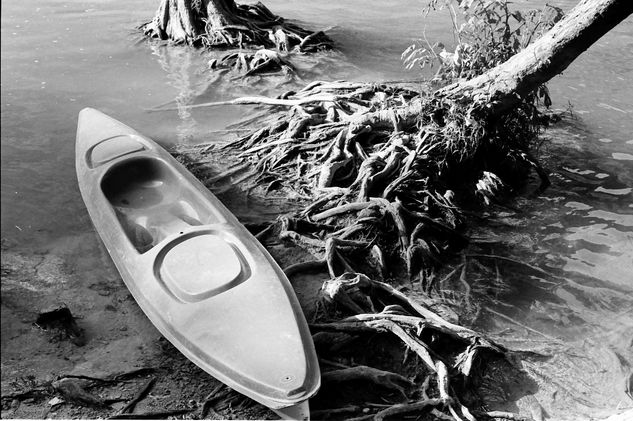 balsa Naturaleza Blanco y Negro (Química)