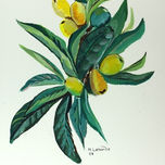 FLORES thumbnail 1