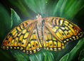 mariposa