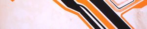 Imagen de portada